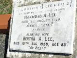 image of grave number 455275